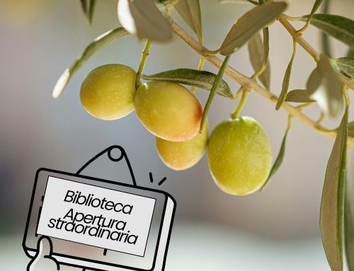 Apertura straordinaria della Biblioteca per “Olivi ritrovati” – Sabato 17 ottobre ore 15.00 –